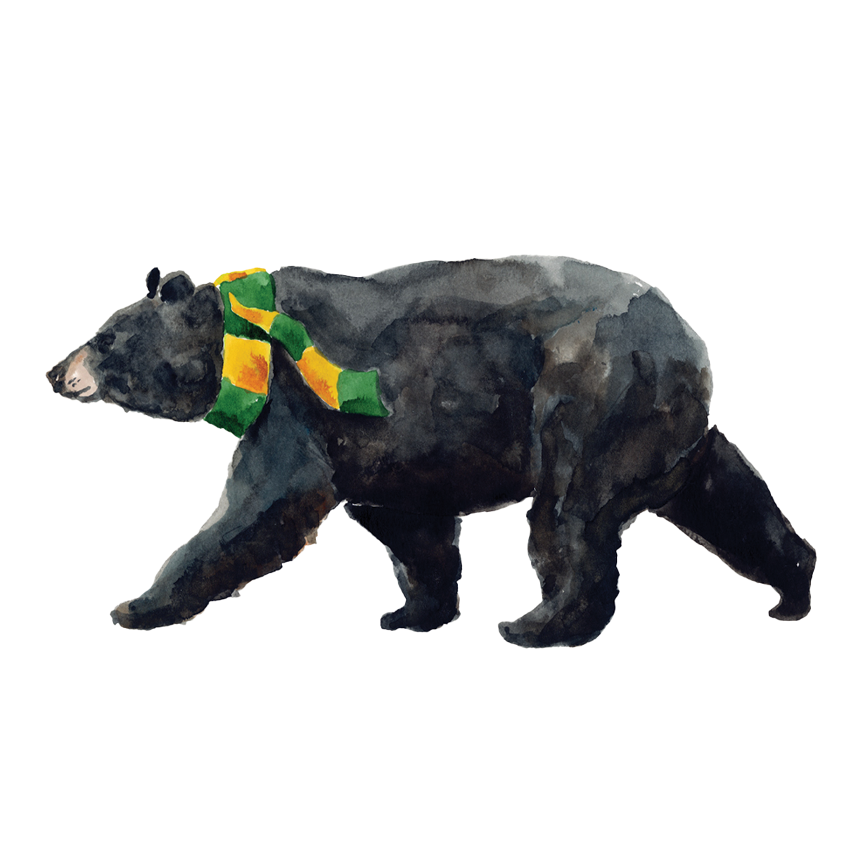 Stylin Brunette x Taylor Paladino magnet of Bear in Gold and Green scarf