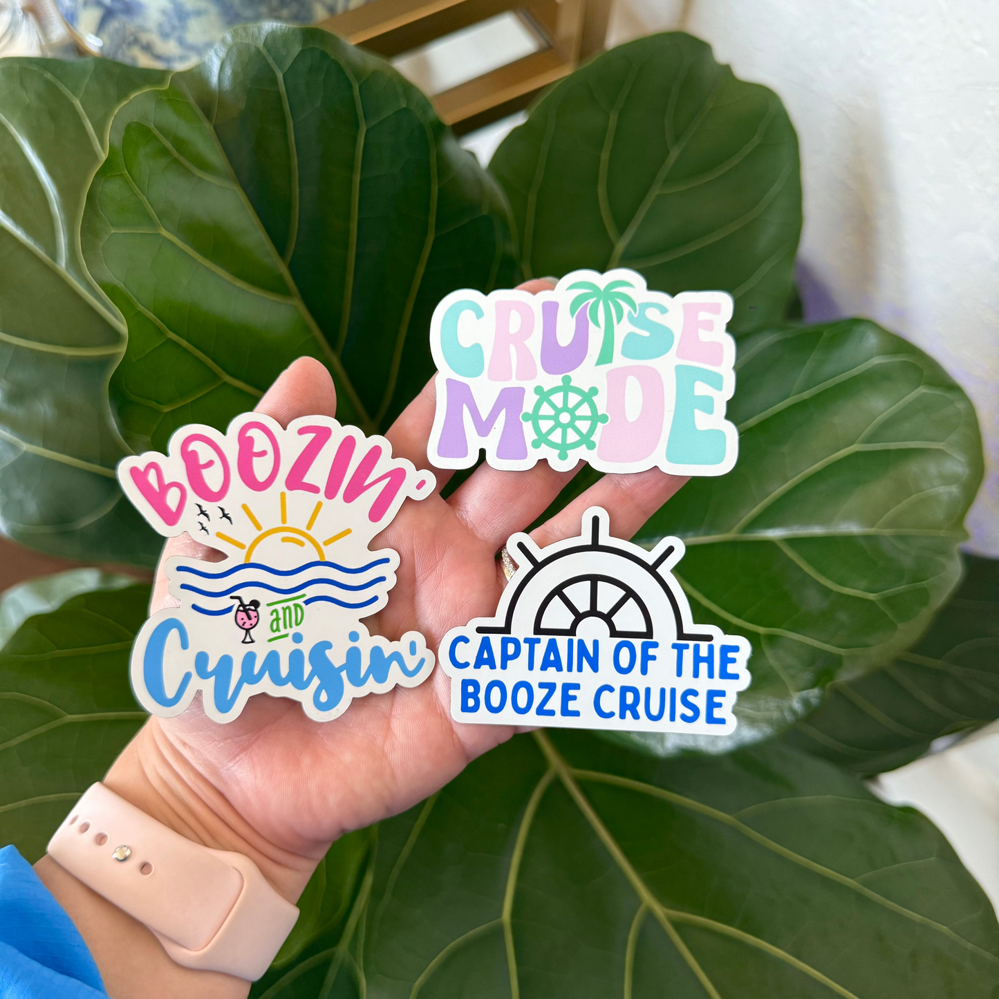 Cruise Magnets (Sold Separately)