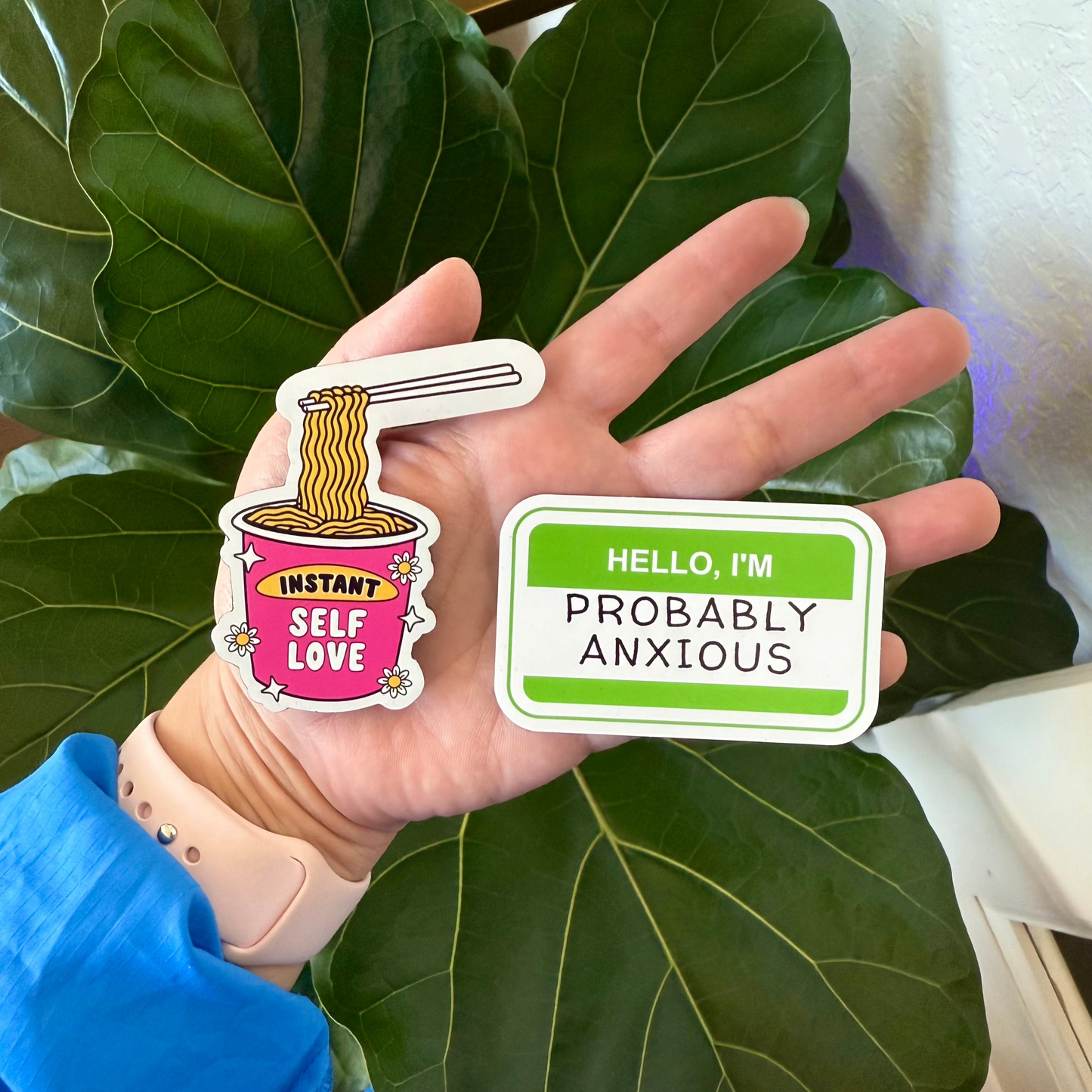 Magnets (Sold Separately)