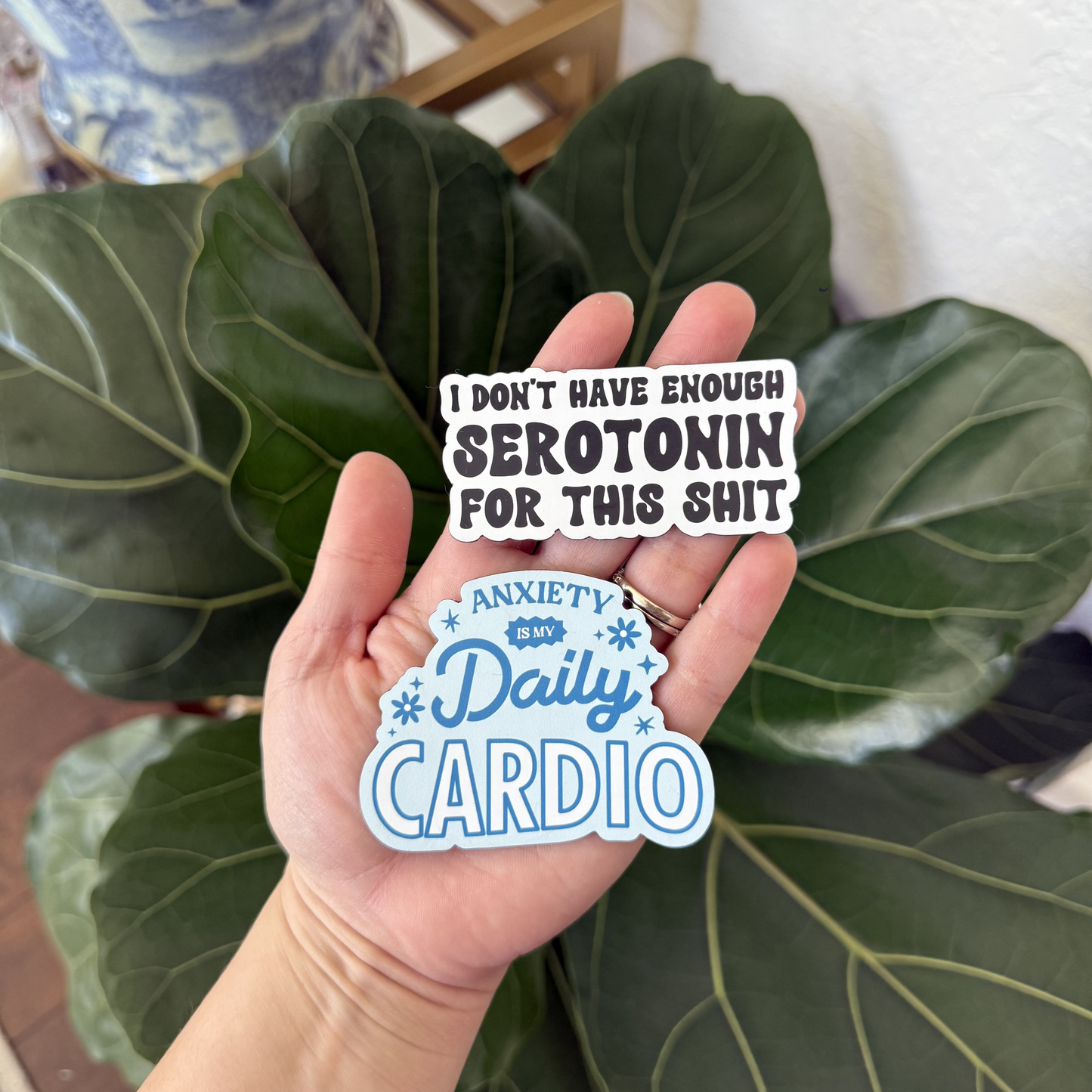 Anxiety Magnets (Sold Separately)