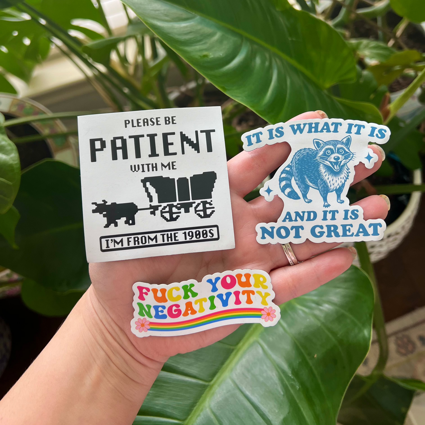 Magnets (Sold Separately)