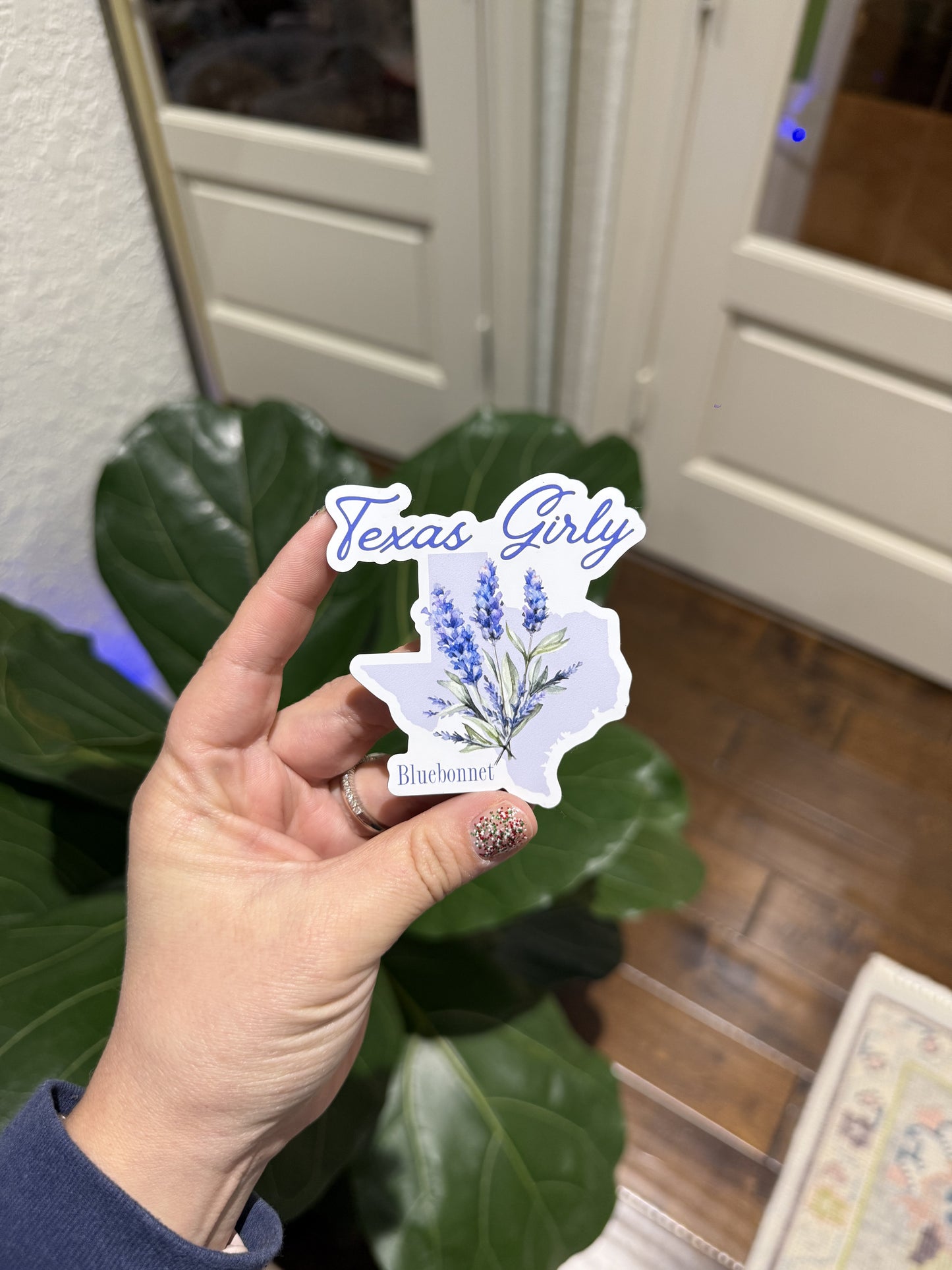 Texas Magnets (Sold Separately)